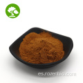 Extracto de hongo chaga natural de alta calidad